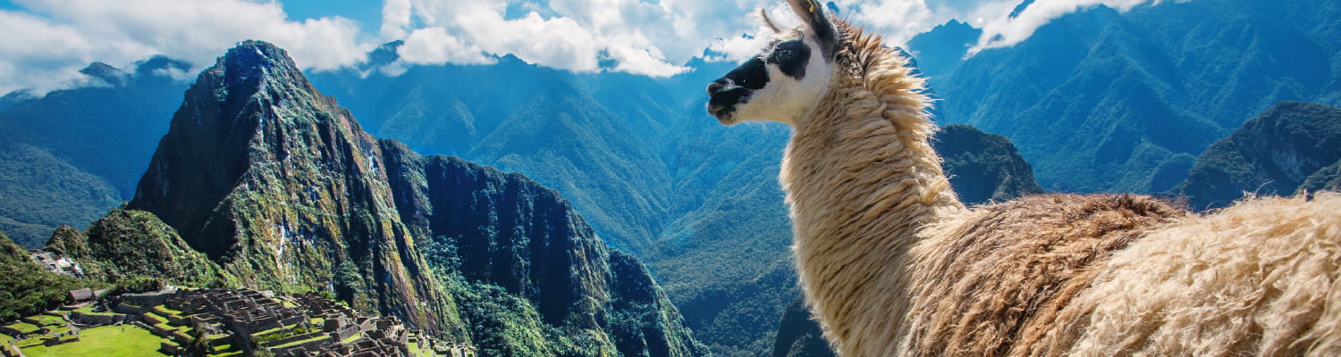 Imagen de presentación